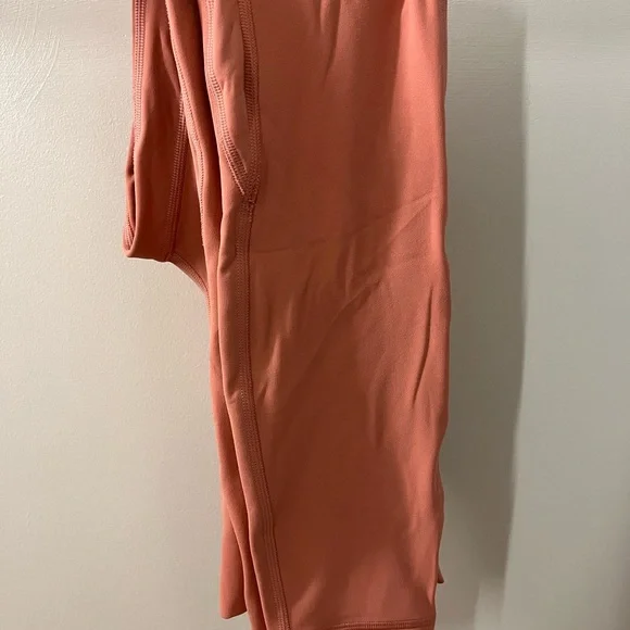Lululemon Align 25” Pink Savannah size 2 *sold out* - Picture 4 of 4